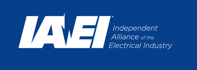 IAEI Logo